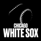 team logo 2